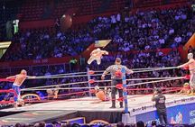 PRIVATE TOUR: Lucha Libre + Tacos Michelin + Transport