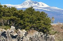 Private Tour in South Jeju including Yacht Cruise