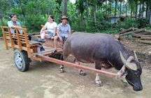Pu Luong 3-Day Experiences: Cooking Class,Cycling & Buffalo Cart 