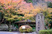 Fukuoka: Mt.Aso, Miyazaki, Takachiho Gorge boat/Beef Lunch Tour