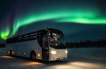 Northern Lights Bus: Cozy Night Adventure with Hot Chocolate