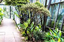 Royal Botanic Garden Edinburgh Private Guided Tour