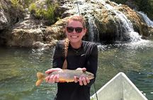 Half-Day Guided Fly Fishing Trip from Jackson Hole
