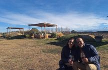 Mendoza Malbec Experience