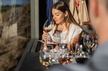 Mendoza Malbec Experience