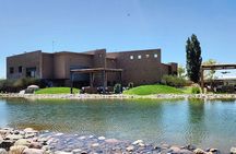 Mendoza Malbec Experience