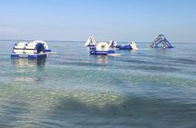 Amazing Private Tour in Cozumel by Jeep or Buggy