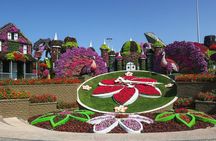 Dubai Miracle Garden Entry Tickets with Optional Hotel Transfers