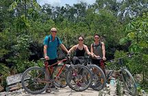 Open Cenote Bike and Swim Tour in the Jungle