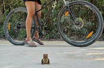 Open Cenote Bike and Swim Tour in the Jungle