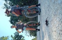 Open Cenote Bike and Swim Tour in the Jungle