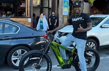 Electric Bike Tours in Lincoln Park