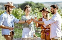 Food Wine and Wellness Tours in Port Macquarie and Coffs Harbour