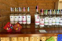 Monte Alban, Ancestral Mezcal, Alebrijes and Black Mud Tour