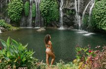 Bali Waterfall Tour – Hidden Spot All Inclusive Private Day Trip
