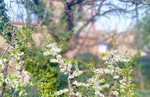 Day trip to Ourika valley 