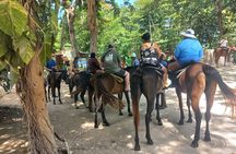 Horse Back Riding in Ocho Rios
