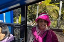 Private Blue Mountains Tour Scenic Views Wildlife and Adventure