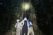 Night Hike in the Gandoca-Manzanillo National Wildlife Refuge