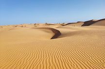Magic desert safari by land cruise in the Empty Quarter