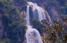  TukTuk Journey Nuwara Eliya - Tea Trails & Waterfalls 