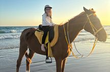 Salalah Camel & Horse Riding Experience