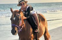 Salalah Camel & Horse Riding Experience