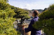 Hiroshima: Bonsai Tree Care Experience