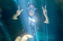 Five Cenotes Jungle Experience in the Riviera Maya