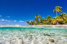 Saona Island The Virgin Part No One Knows