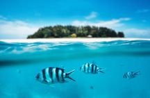 Catalina Island Even more unspoilt than Saona