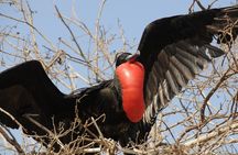 Galapagos Islands 7 Days Tour Package