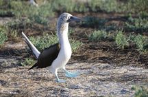 Galapagos Islands 7 Days Tour Package
