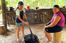 Bribri Chocolate Family Farm in the Indigenous Territory