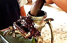 Bribri Chocolate Family Farm in the Indigenous Territory