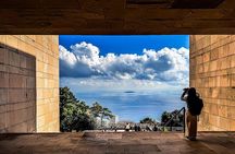 Bullet Train Experience and Atami Museum of Art Private Tour