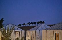 5 Day Tour from Casablanca to Marrakech via Fes Desert