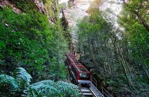 Private Blue Mountains Day Tour with Featherdale Wildlife Park