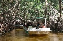 Celestun, Flamenco Adventure, from Merida