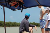 Celestun, Flamenco Adventure, from Merida