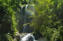 Jungle and Waterfall Adventure