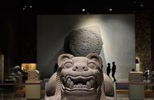 Museum of Anthropology and Chapultepec Castle with Specialists