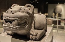 Museum of Anthropology and Chapultepec Castle with Specialists