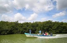Full-Day Tour Can Gio Mangrove Biosphere Reserve