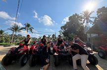 ATV Quad Bike Gorilla Cave, Waterfall, and Monkey Forest
