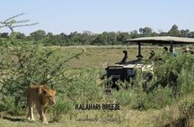 8 Day Okavango Safari - Wilderness Trail (Inner Delta & Moremi)