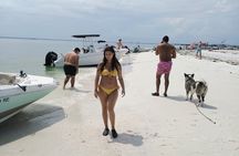 Clearwater Island Escape – Private 4-Hour Half-Day Cruise