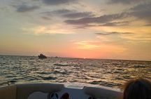 4-Hour Private Island Escape – Islands & Dolphins