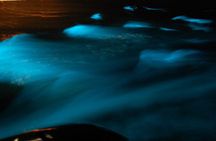 Mystic Luminous Lagoon Boat Tour & Fire show in Falmouth Jamaica