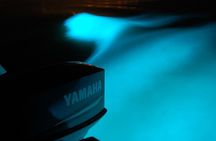 Mystic Luminous Lagoon Boat Tour & Fire show in Falmouth Jamaica